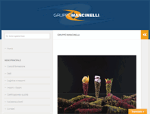 Tablet Screenshot of mancinelligroup.com